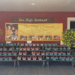 Sun High Orchard Gallery